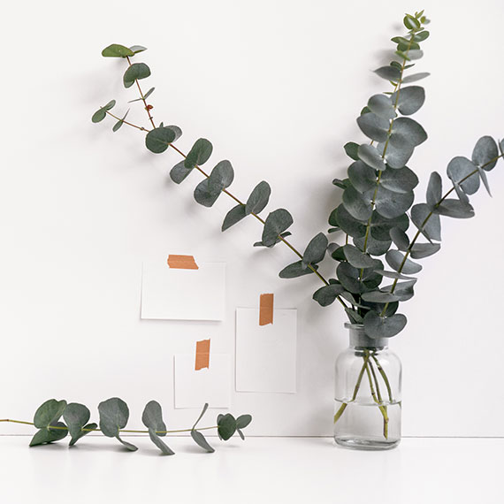Portfolio Image 2