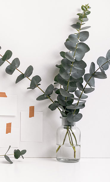 Portfolio Image 2