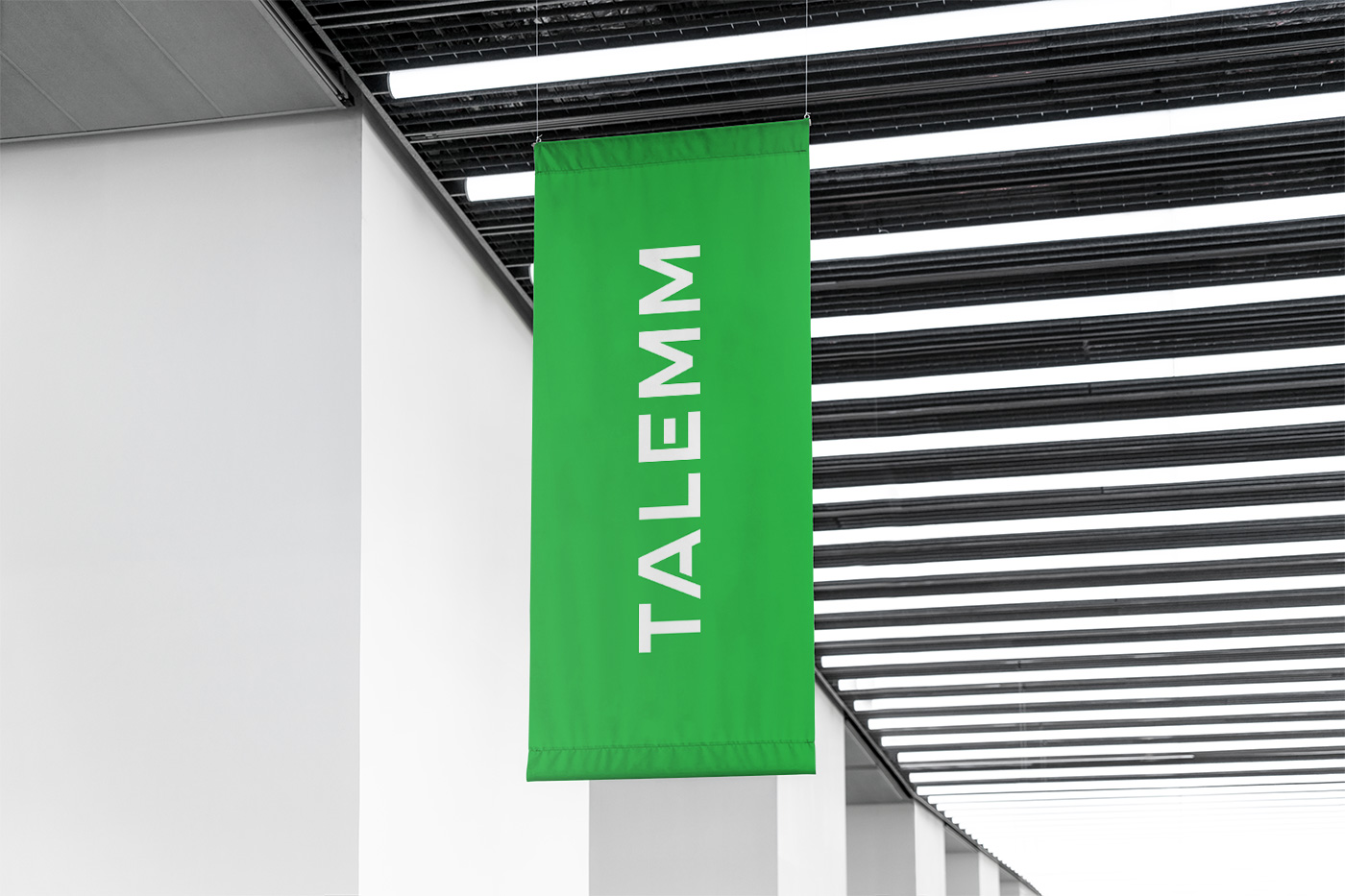 Brand Identity Design, Logo Design, Studeo Brisbane, Australia